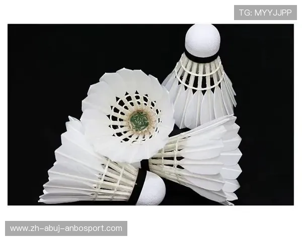 羽毛球焦点2号球