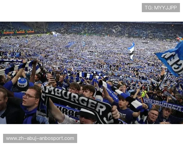 被球迷称为“良心球队”的德甲俱乐部有哪几支？